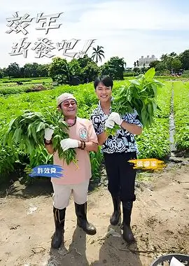 声音合伙人 综艺全集在线观看